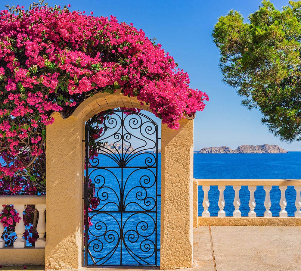 Vacation rental